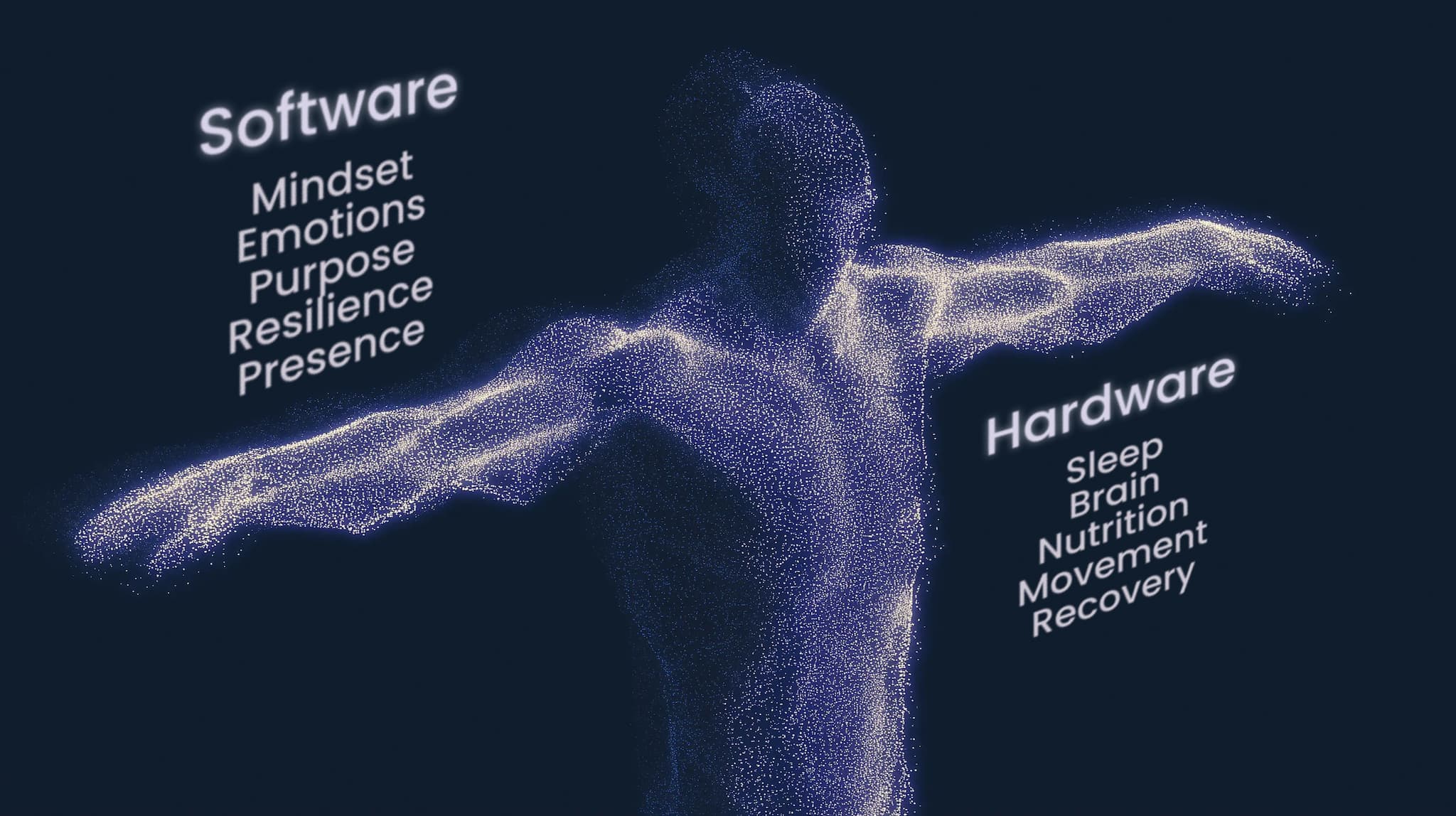 Integrated Performance System - Hardware and Software
